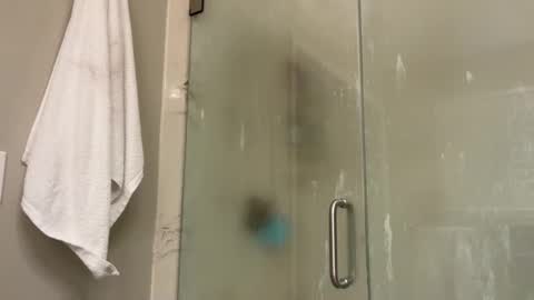 Snapshot of kittypurr79 chatting on January 2, 2025, 12:02 am kittypurr79 online show from January 2, 2025, 12:02 am