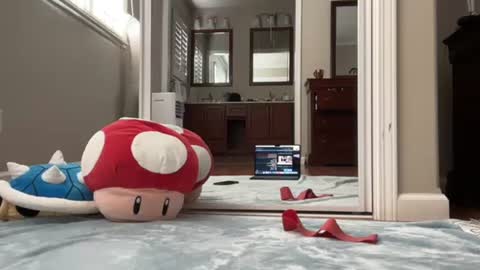 Snapshot of kittypurr79 chatting on January 11, 2025, 9:04 pm kittypurr79 online show from January 11, 2025, 9:04 pm