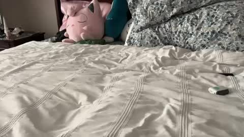 Snapshot of kittypurr79 chatting on January 12, 2025, 12:07 am kittypurr79 online show from January 12, 2025, 12:07 am