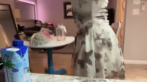 Snapshot of kittypurr79 chatting on September 30, 2025, 3:11 am kittypurr79 online show from September 30, 2025, 3:11 am