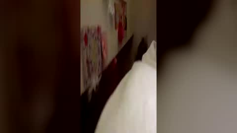 Kitty  Sophie    online show from June 24, 2026, 2:54 am