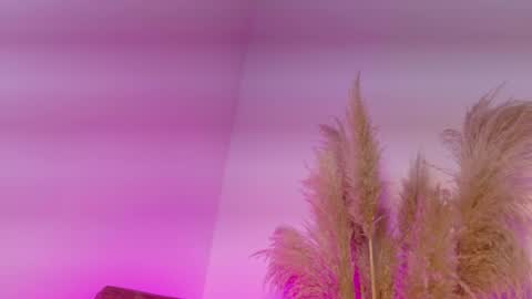 Kitty Hill online show from January 12, 2026, 4:18 am