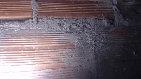 MARI -- ----   transmission forever today 10 pm time  colombia online show from December 4, 2024, 5:49 am