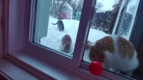 kiveuxmakeu online show from December 27, 2024, 9:11 pm