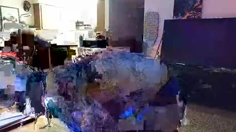 Knox Wilder online show from November 30, 2025, 5:55 am