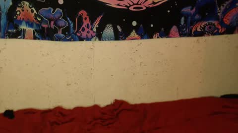 Snapshot of konekokawai chatting on February 12, 2025, 1:41 am konekokawai online show from February 12, 2025, 1:41 am