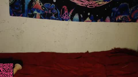 Snapshot of konekokawai chatting on February 13, 2025, 11:15 pm konekokawai online show from February 13, 2025, 11:15 pm