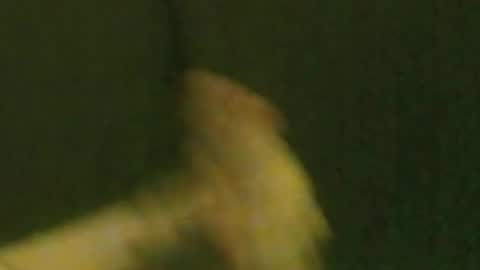 Snapshot of kren565656 chatting on September 21, 2025, 10:06 am kren565656 online show from September 21, 2025, 10:06 am