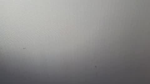 Adonis online show from March 7, 2025, 4:02 am