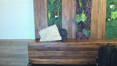 labrinthteasing online show from March 2, 2026, 12:23 pm