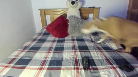 Snapshot of ladahear_ chatting on October 25, 2025, 1:07 pm Akyra online show from October 25, 2025, 1:07 pm