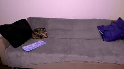 LadyTrep online show from January 31, 2026, 7:56 pm