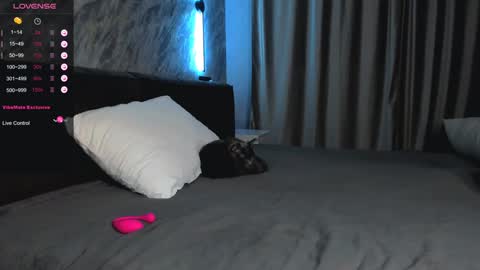 Snapshot of laflamebella chatting on January 28, 2025, 1:49 pm Bella online show from January 28, 2025, 1:49 pm