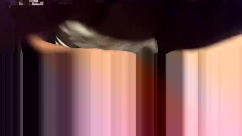 lalo112233vaz online show from November 16, 2025, 9:04 am