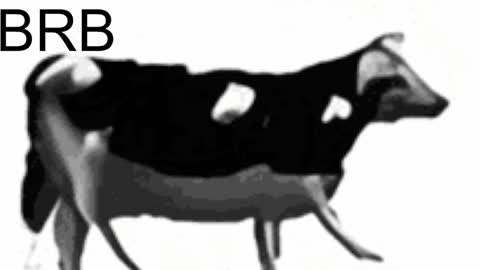 just call me Lana  and her security online show from February 6, 2025, 11:10 am