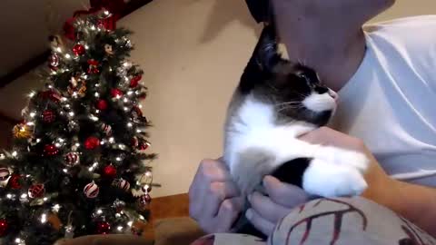 Snapshot of lancehardin chatting on December 30, 2024, 1:04 am Lance online show from December 30, 2024, 1:04 am