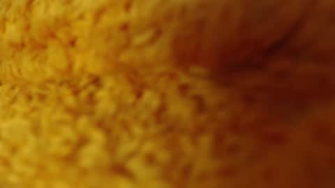 Snapshot of laralhotr chatting on December 27, 2024, 1:11 am laralhotr online show from December 27, 2024, 1:11 am