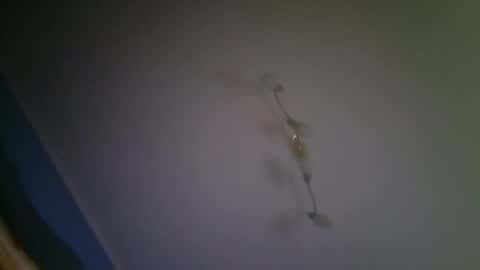 larry009 online show from December 15, 2025, 3:00 am