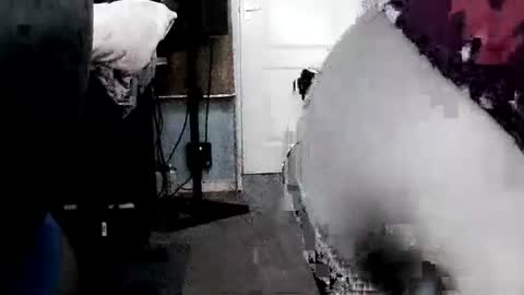 latexchris77 online show from April 6, 2026, 6:47 am