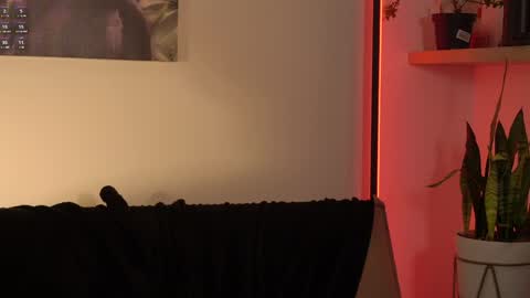 Snapshot of laurita_4 chatting on May 6, 2026, 1:16 pm laurita_4 online show from May 6, 2026, 1:16 pm