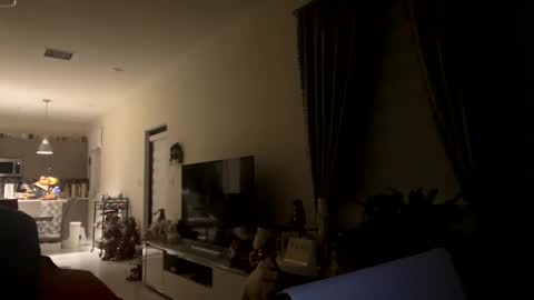 law_cambio online show from December 31, 2024, 11:31 am