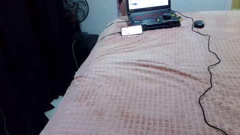 Snapshot of laylabrasil chatting on February 20, 2025, 2:40 am kelly online show from February 20, 2025, 2:40 am