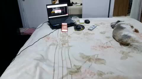 Snapshot of laylabrasil chatting on October 9, 2025, 4:54 am kelly online show from October 9, 2025, 4:54 am