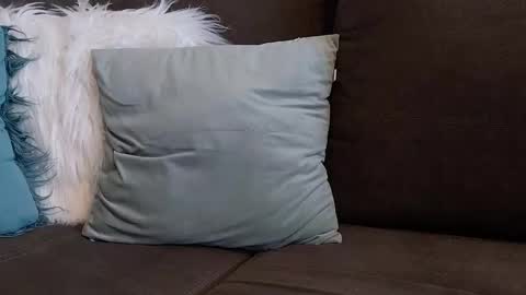 lazlow2000 online show from January 7, 2026, 7:44 am