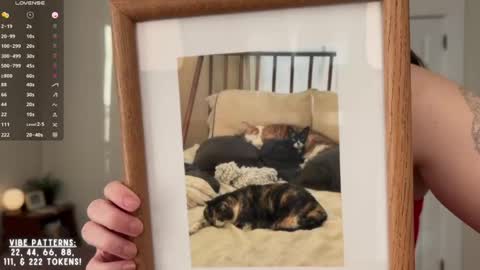 Cece  online show from February 12, 2026, 7:42 pm