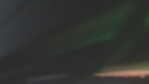 leowolf online show from December 8, 2024, 6:50 pm