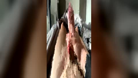 leo41231 online show from April 21, 2026, 8:42 am