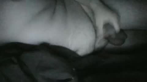 Rayne online show from December 25, 2024, 6:52 am