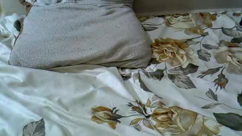 letshaveitbby online show from November 15, 2025, 7:16 am