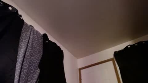 letsplay361 online show from February 25, 2026, 1:48 am