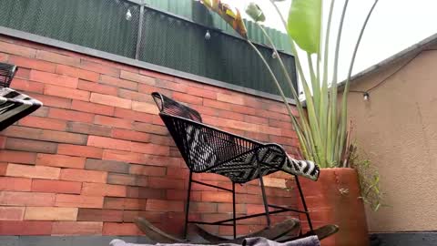 Snapshot of lettali chatting on March 21, 2026, 4:10 pm follow me here you find me online show from March 21, 2026, 4:10 pm