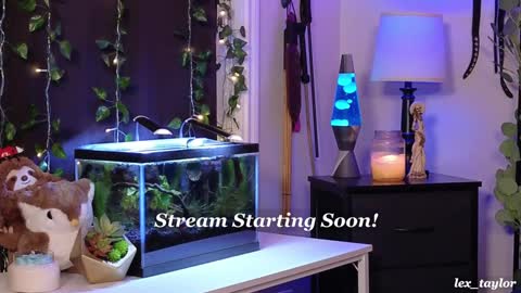 Snapshot of lex_taylor chatting on January 8, 2025, 3:19 am Lex online show from January 8, 2025, 3:19 am