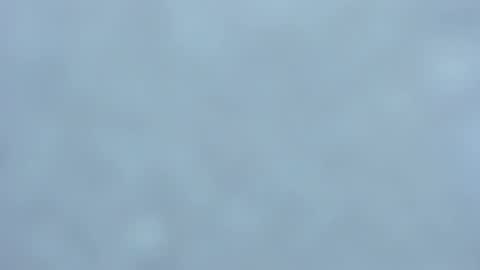 . online show from February 1, 2025, 3:52 am