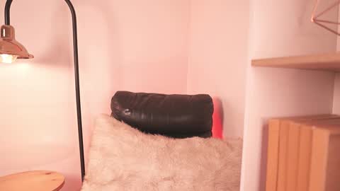 liaa online show from December 14, 2025, 4:01 pm