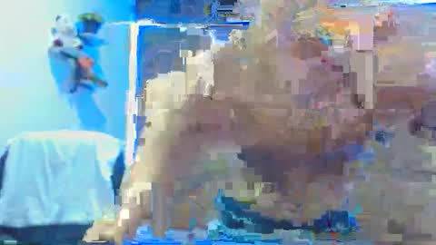LiamBlack16 online show from October 7, 2025, 2:47 pm