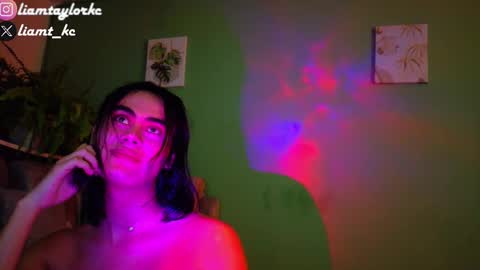 Snapshot of liamtaylor_ chatting on January 26, 2025, 3:17 am Tell me Liam online show from January 26, 2025, 3:17 am