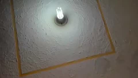 lianfox_ online show from July 11, 2026, 12:30 pm