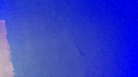 Snapshot of lickyouryoni chatting on February 22, 2025, 3:36 pm LickYourYoni online show from February 22, 2025, 3:36 pm