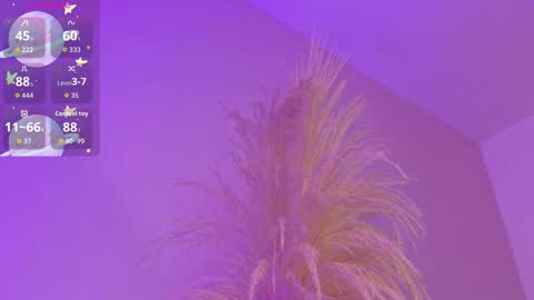 Liiam Luna online show from March 17, 2026, 9:01 am