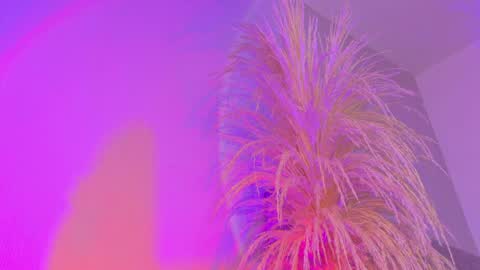 Liiam Luna online show from April 3, 2026, 10:02 am