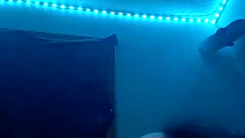 Snapshot of lildman420 chatting on November 12, 2025, 8:48 am lildman420 online show from November 12, 2025, 8:48 am