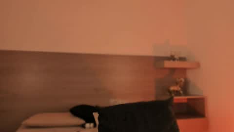 lilith_sage_ online show from March 29, 2026, 12:10 am