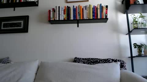 Jay  please help me reach 50 thumbs up online show from February 21, 2026, 6:42 pm