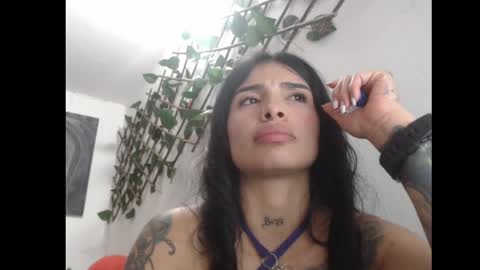 lil palacio online show from March 8, 2025, 8:14 pm