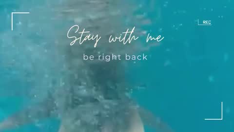 Lily online show from November 2, 2025, 6:27 am