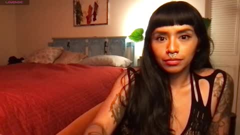 Little Lily online show from November 5, 2025, 5:29 am